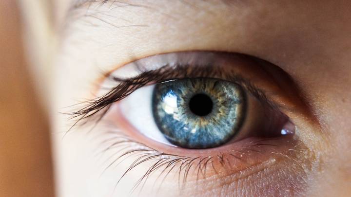 Science Shows That Everyone With Blue Eyes Have One Common Ancestor 