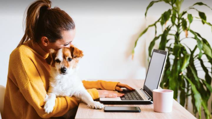 Experts Warns Dog Owners Should Start Preparing For Return To Work Now To Avoid Causing Pet Anxiety