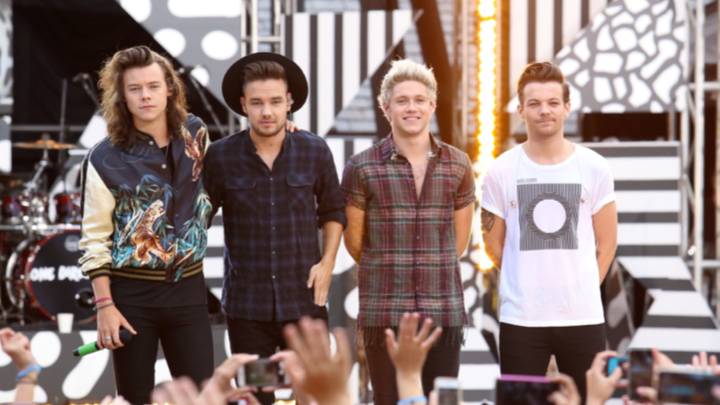 Louis Tomlinson Confirms 1D Reunion Will Definitely Happen 'At Some Point'