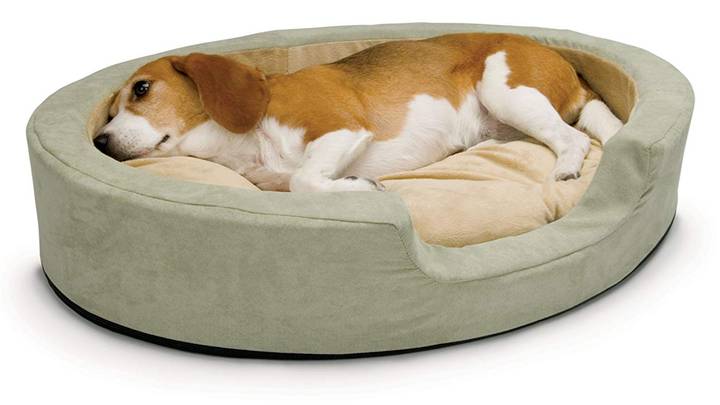 Heated Dog Beds Exist Because Dogs Get Cold Too