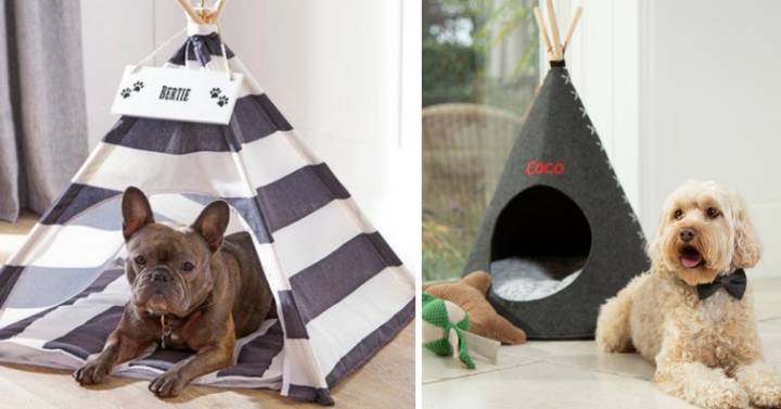 You Can Now Buy Teepees For Your Pets And They’re Incredible 