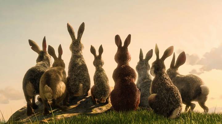 BBC Releases First Pictures Of Watership Down Adaptation And Exciting Cast News