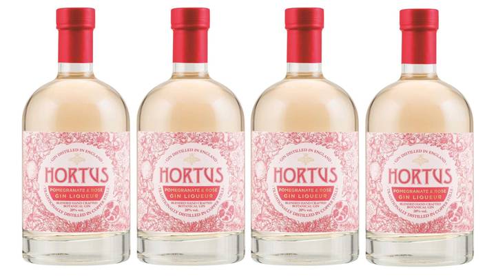 Lidl Has Released A Pink Pomegranate And Rose Gin For Less Than £12