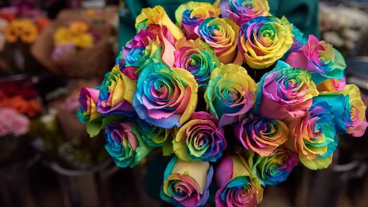 Morrisons Is Selling Multicoloured Rainbow Roses For Valentine's Day
