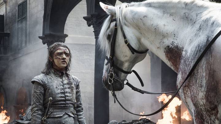 'Game Of Thrones' Fans Think They've Worked Out The Truth Behind Arya's White Horse
