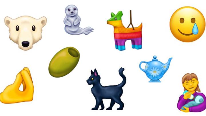 Over 100 New Emojis Are Coming Including A Dodo And A Piñata