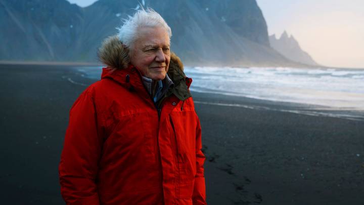 The BBC Is Airing A David Attenborough One-Off Special This Weekend
