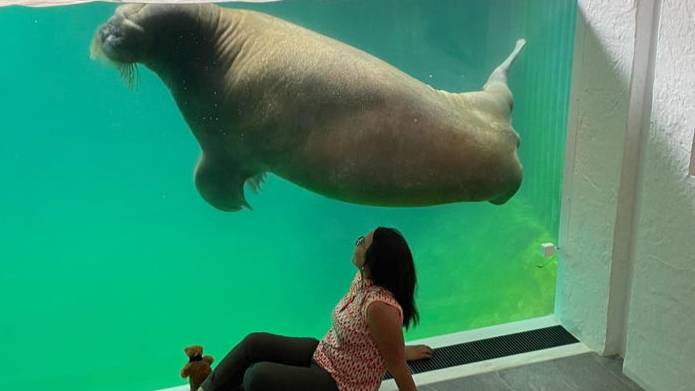 You Can Now Stay In An Underwater Hotel Room With Views Into A Walrus Tank