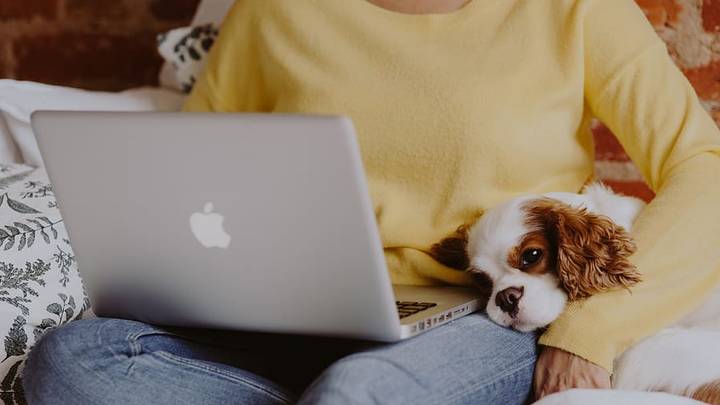 Why Working From Home With Your Pet Actually Makes You More Productive