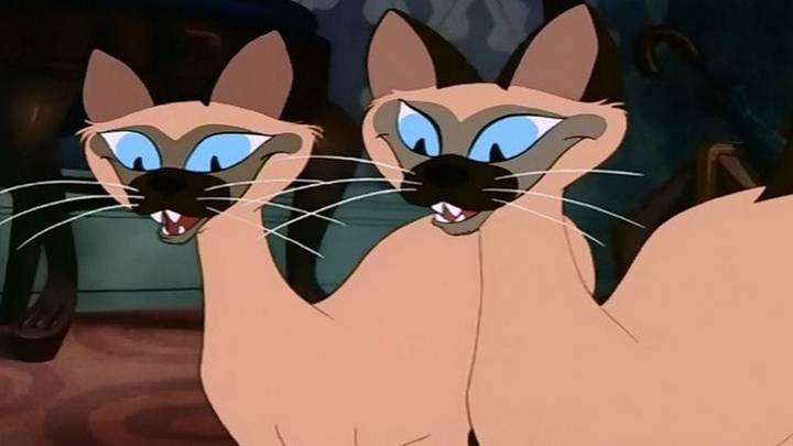 Siamese cat lady and online the tramp names