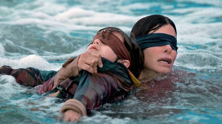 Most 'Bird Box' Fans Missed These Two Deaths In The Netflix Film