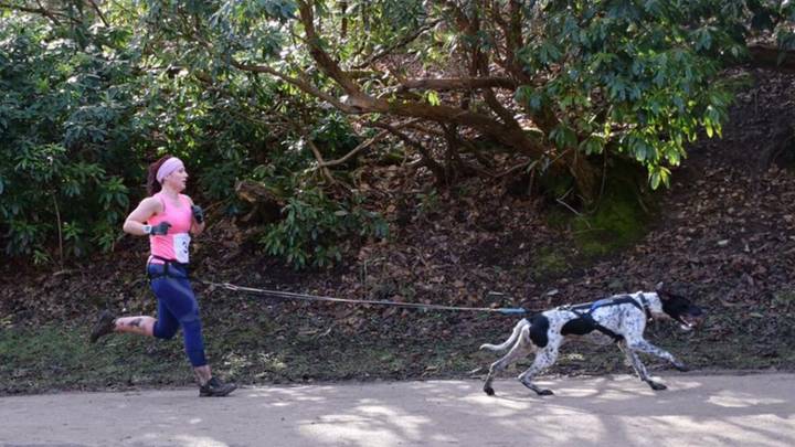 Canicross: Here's Why Running With Six Legs Is Better Than Two 