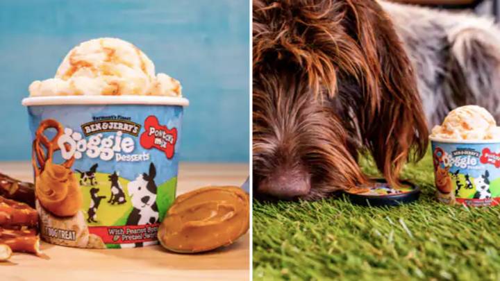 You Can Now Buy A Tub Of Ben & Jerry’s Made Especially For Dogs