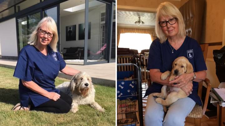 This Woman Is A Puppy Midwife And It Sounds Like The Best Job Ever