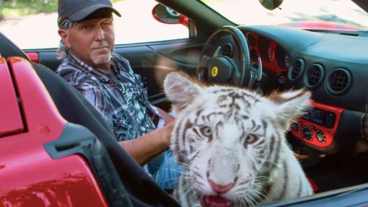 Tiger King's Jeff Lowe Has All Remaining Tigers Confiscated From His Park