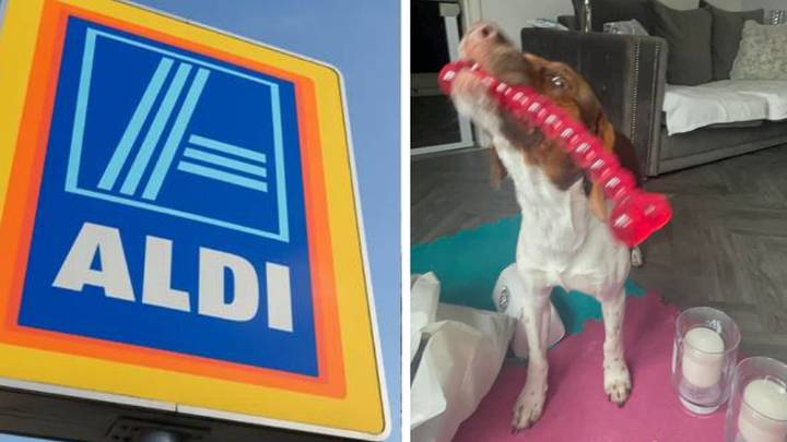 People Baffled By New NSFW-Looking Dog Toys Sold At Aldi And B&M