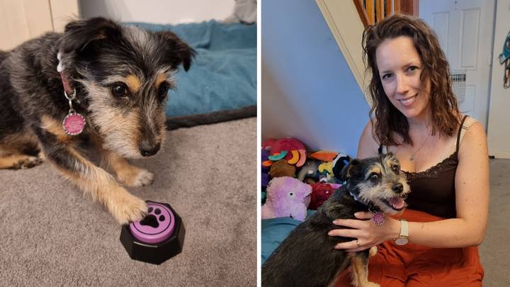 I tried Aldi’s £19.99 gadget that promises to get your dog 'talking’