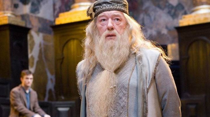 People Are Just Finding Out What Dumbledore's Name Means