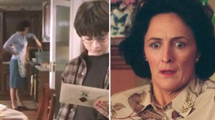 Harry Potter Fans Are Just Realising What Aunt Petunia Is Doing In Kitchen Scene