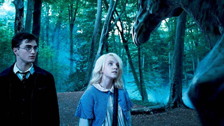 Harry Potter Fans Are Furiously Debating The 'Confusing' Thestrals Storyline