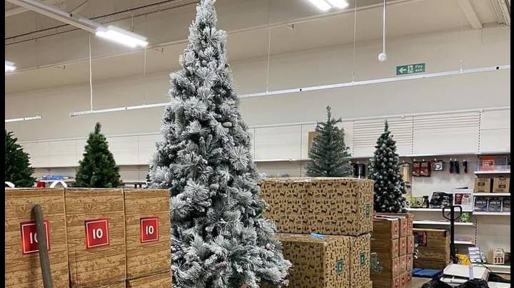 Shoppers Stunned As Store Sells Christmas Trees In September