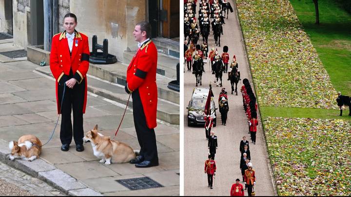The Queen's Fell Pony and Corgis watch as Her Majesty's coffin goes by