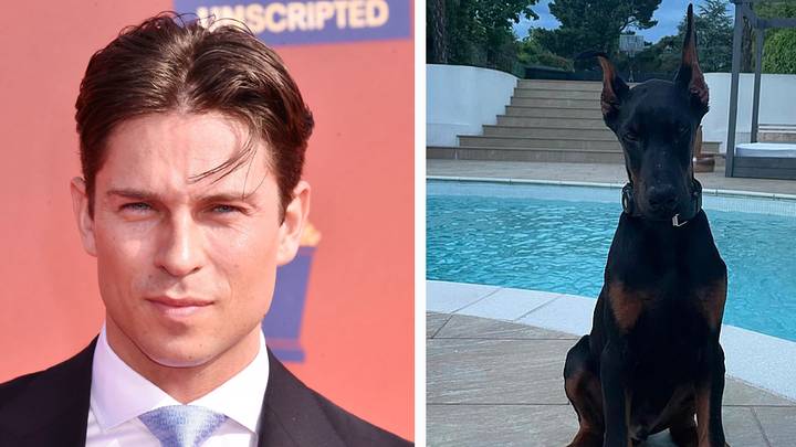 Joey Essex faces criticism for dog's cropped ears