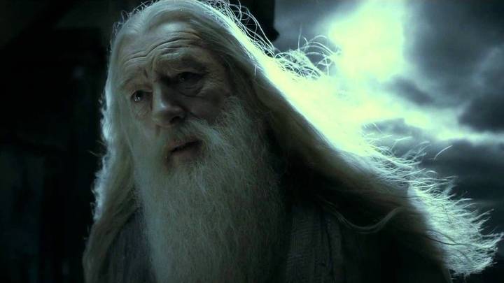 Harry Potter Fans Are Convinced Snape Didn't Kill Dumbledore