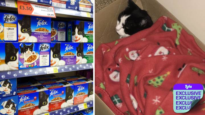 Cat Owners Claim New Felix Formula Is Making Their Pets Seriously Ill