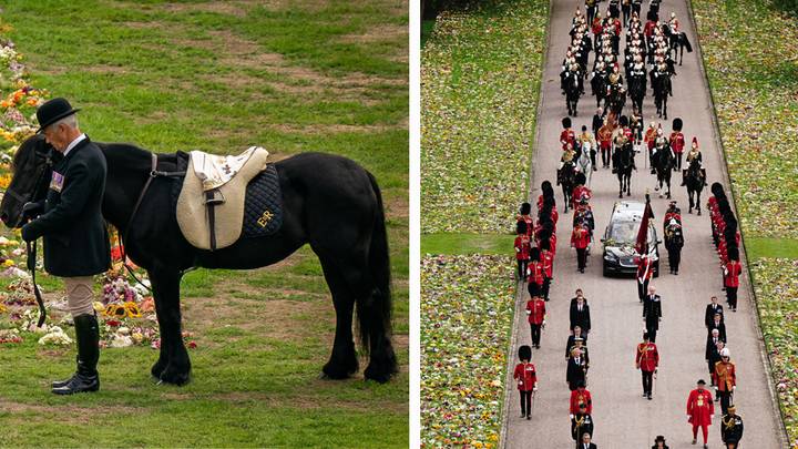 The Queen's favourite pony's touching tribute in final goodbye