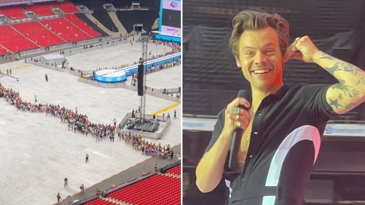 Harry Styles Fans Leave People Baffled With Bizarre Crowd Technique At Concert
