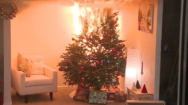 Terrifying Video Shows How Quickly An Unwatered Christmas Tree Can Go Up In Flames