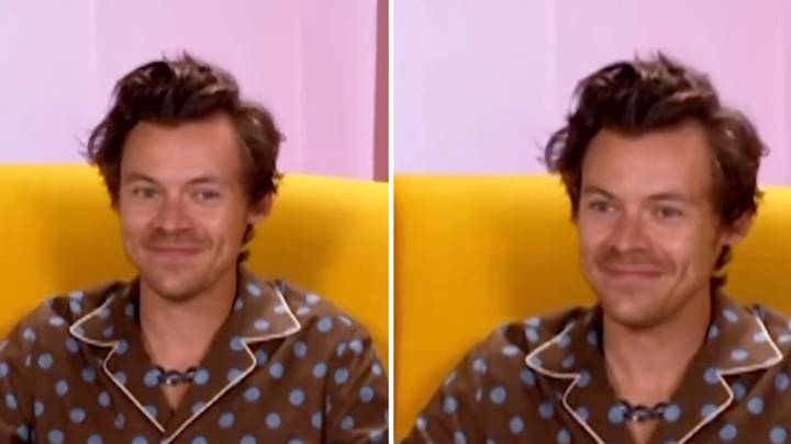 Fans Are Losing It After Harry Styles Wears His Pyjamas On CBeebies