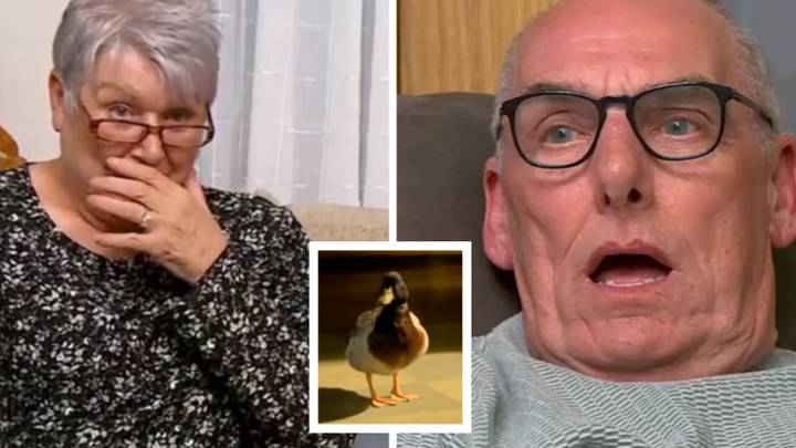 Gogglebox Hit With Over 100 Ofcom Complaints