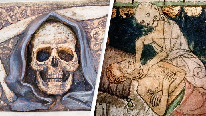 Scientists Think They've Solved Centuries-Old Mystery Of Black Death Origin