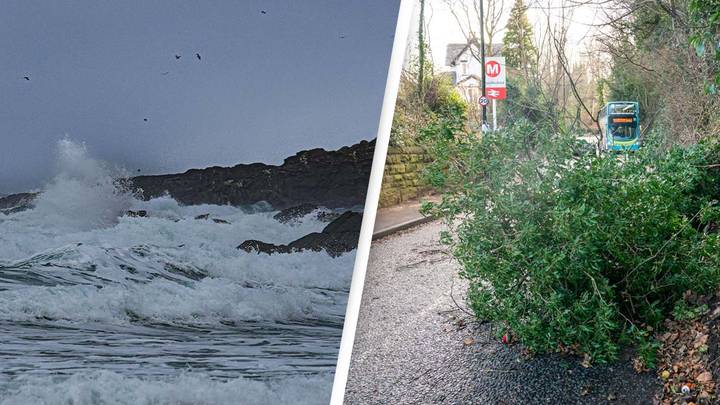 Storm Malik: Woman Killed By Tree As 90mph Winds Hit The UK