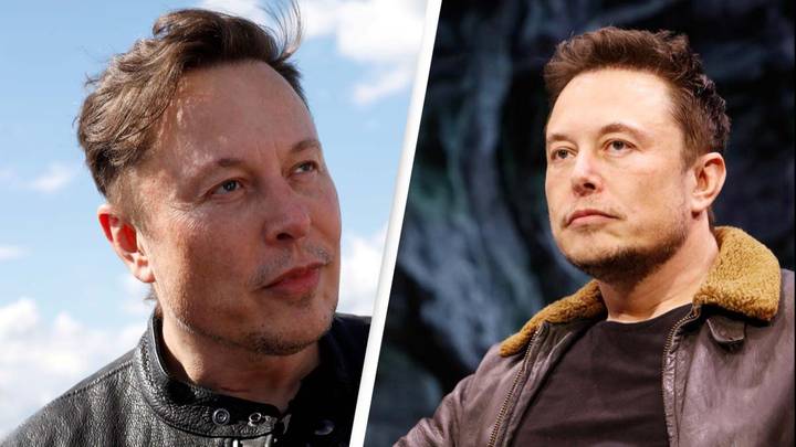 Elon Musk Says The Far Left Hates Everyone, Including Themselves