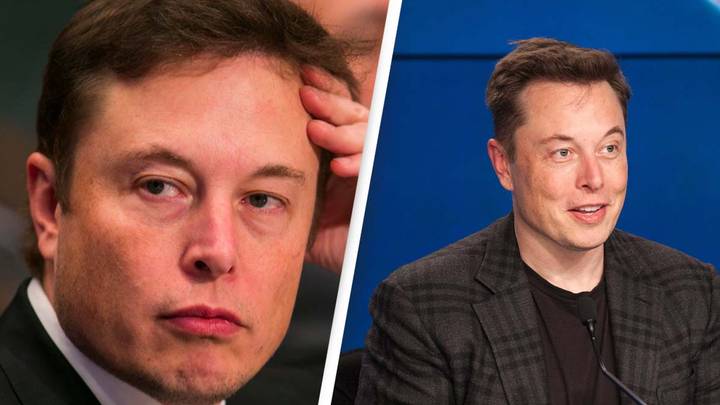 Elon Musk Taunted Over Hair Plugs On Twitter
