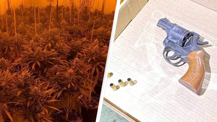 Police Seize £300,000 Of Cannabis, Loaded AK-47, Two Crossbows In London Raid
