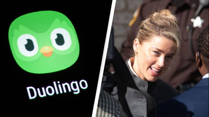 Duolingo Faces Criticism Over 'Insensitive' Amber Heard Joke