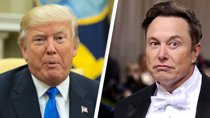 Twitter Reminisces On Trump's 'Greatest Hits' As Musk Says He Will Undo Ban