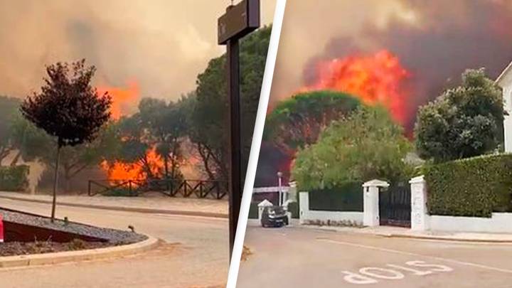 Wildfires Start Ripping Through Millionaires' Neighbourhood In Devastating Blazes