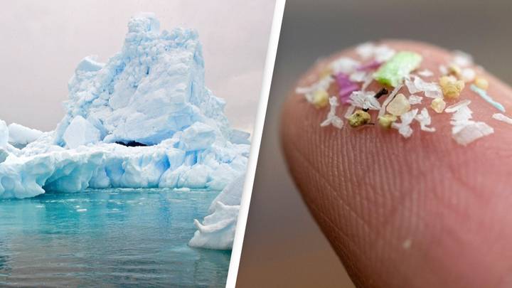 Microplastics Found In Fresh Snow On Antarctica For The First Time