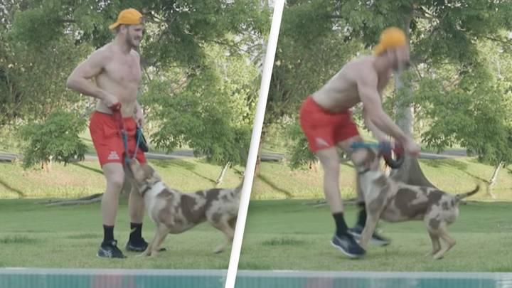 Logan Paul's Dog Bites His Privates While Filming Workout Video