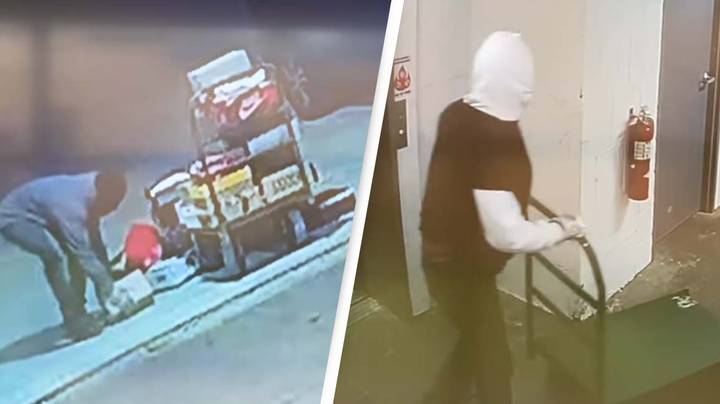 Man's 'Worst Nightmare' Comes To Life After Catching $100,000 Trainer Theft On Camera