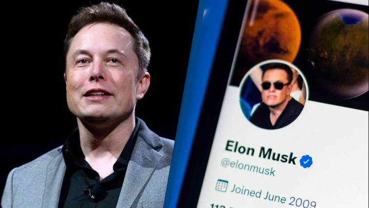 Elon Musk 'Can't Afford To Buy Twitter' Despite His Massive Offer