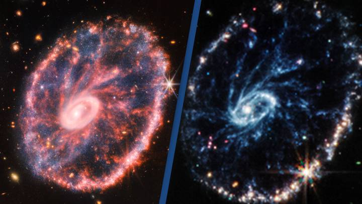 James Webb telescope travels 500 million light years to reveal Cartwheel Galaxy
