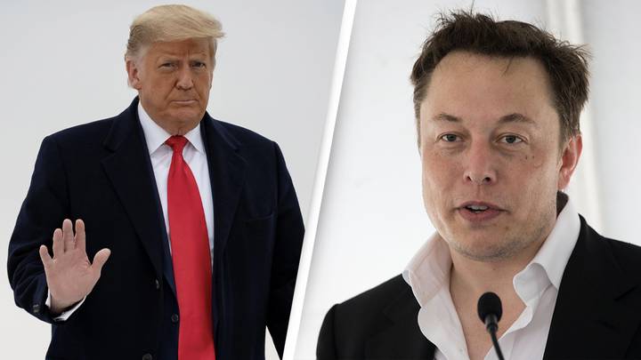 Donald Trump Makes Promise To Twitter After Elon Musk Buys Social Network