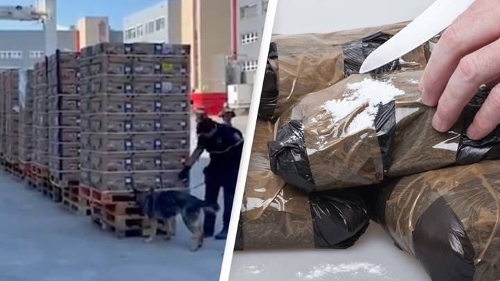 Drug Smugglers Deliver $83 Million Of Cocaine To Supermarkets By Mistake