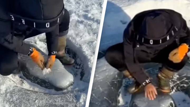 Man Creates Ice Snake Sculpture Realistic Enough To 'Give Someone A Heart Attack'